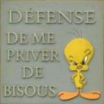 BEAUCOUP DE MUSIC,DE L HUMOUR ET TOUT ET TOUT N'HéSITé PAS A LAISSER DES COMMS MICI BISOSU A TOUS!!!
